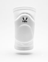HERA Pro